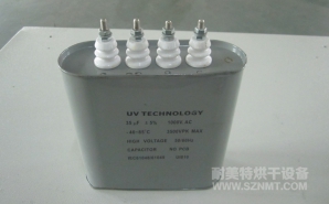 NMT-P0017 UV进口光源电容
